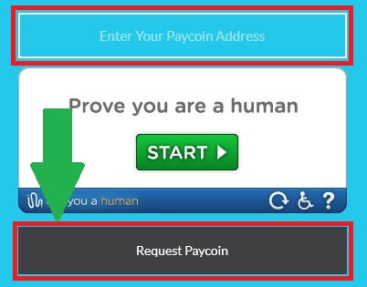 Бесплатная раздача PayCoin один раз в час