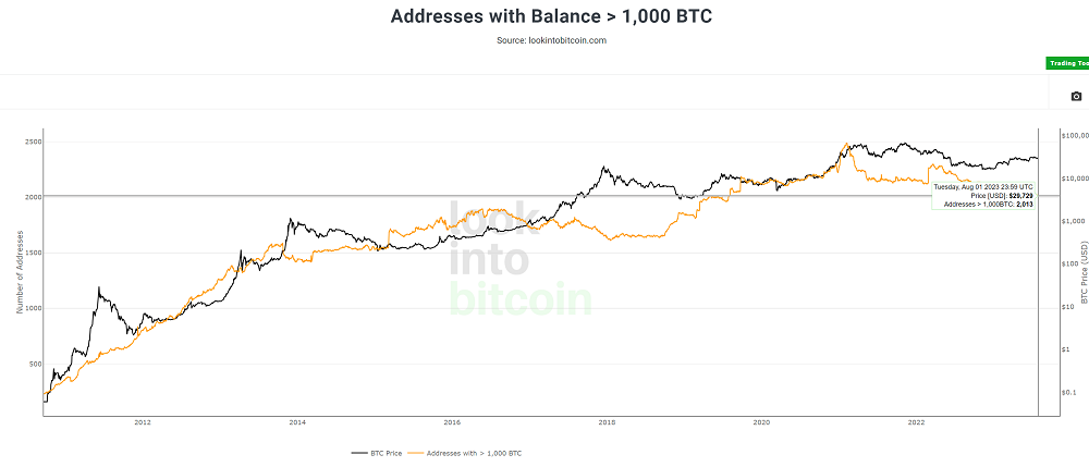 number of bitcoin whales