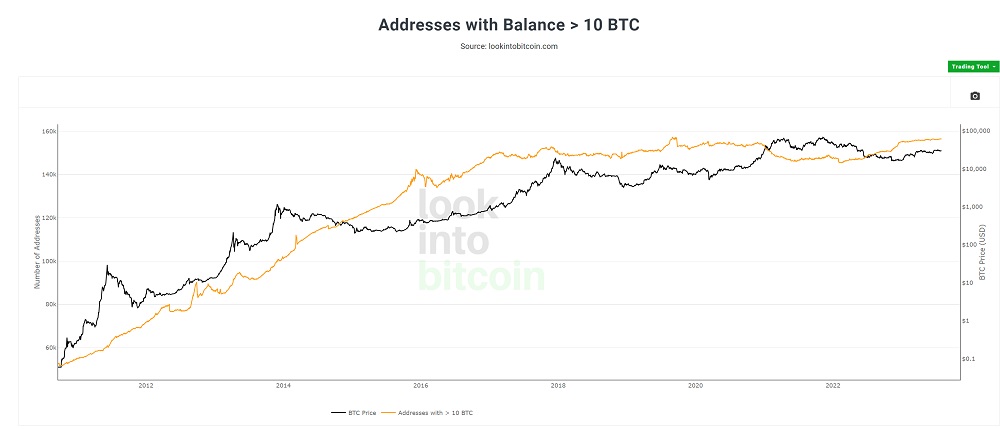 number of bitcoin octopuses