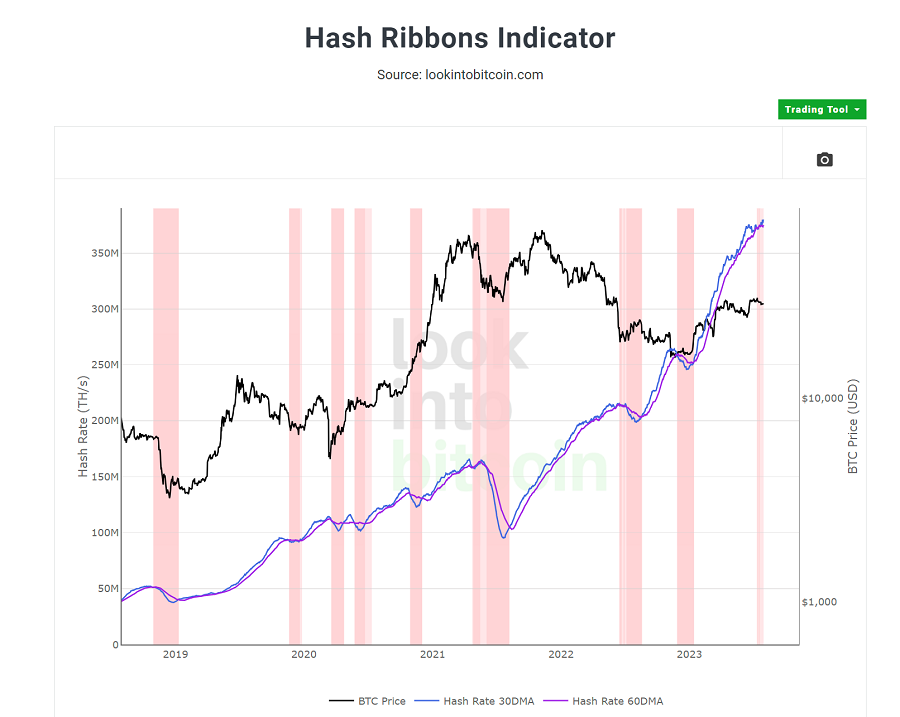 indicador de línea hash de bitcoin