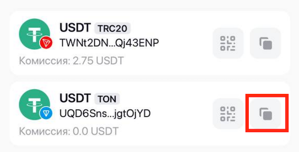 Antarctic Wallet Guide 2