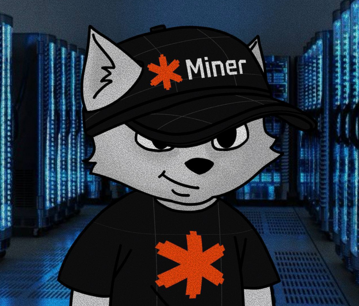 Cats miner