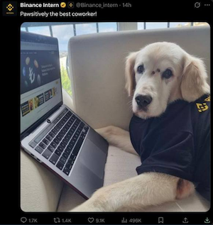 Перенонс листинга PAWS, Binance