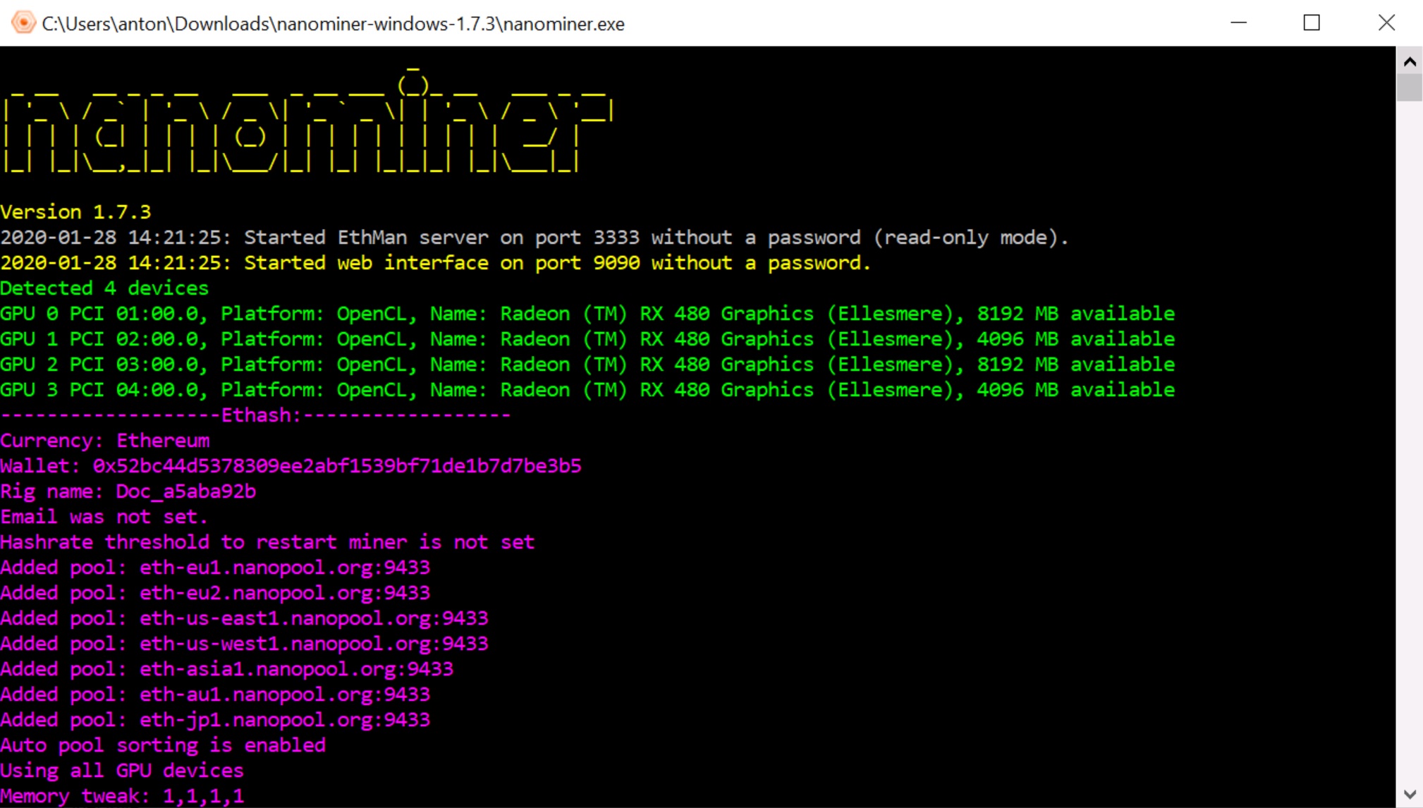 nanominer randomhash hashrate